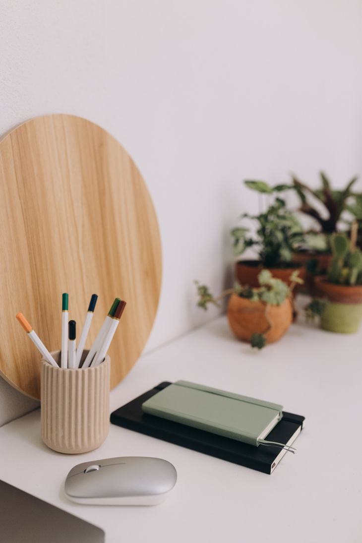 Office Desk with Houseplants
